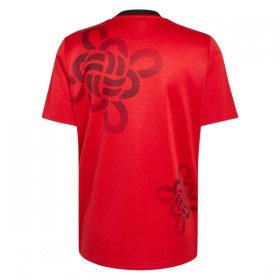 Manchester United Cultural Story Spesialutgave Drakt 2025-26 Kortermet