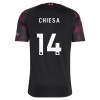 Liverpool Chiesa 14 Barn Tredjedrakt 2026-27 Kortermet